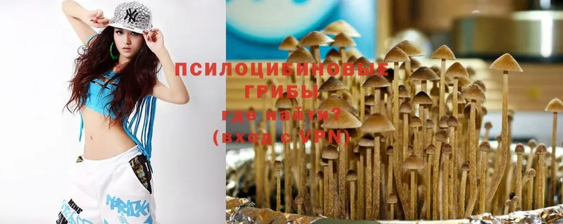 OMG зеркало  Пушкино  Галлюциногенные грибы MAGIC MUSHROOMS 