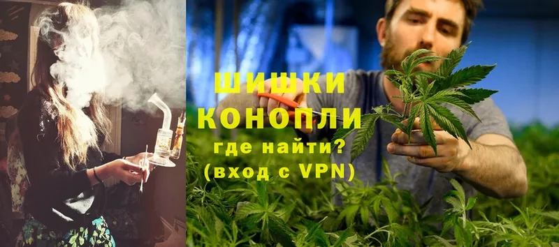 Бошки марихуана Bruce Banner  где можно купить   Пушкино 